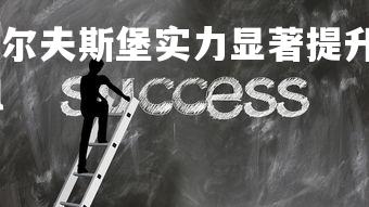 乐竞体育app-沃尔夫斯堡实力显著提升，雄心壮志冲冠，沃尔夫斯堡vfl